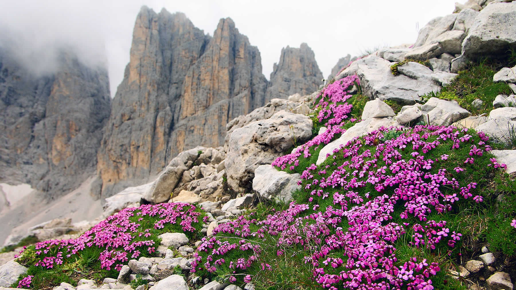 Summer holiday in South Tyrol